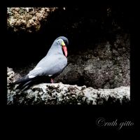 Lives in the Bronx Zoo